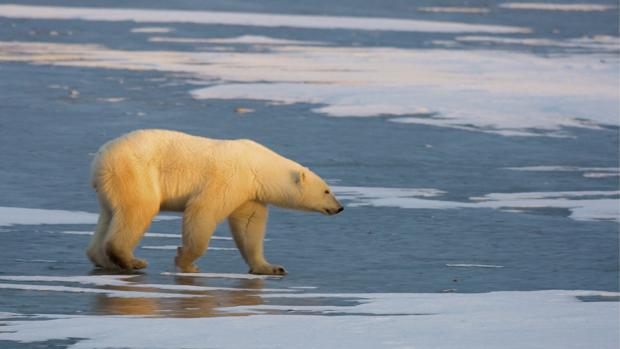 La ONU multiplica las alertas respecto al recalentamiento del planeta