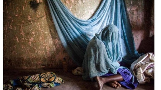 La lucha contra la malaria: el 93% de las muertes siguen asediando a África