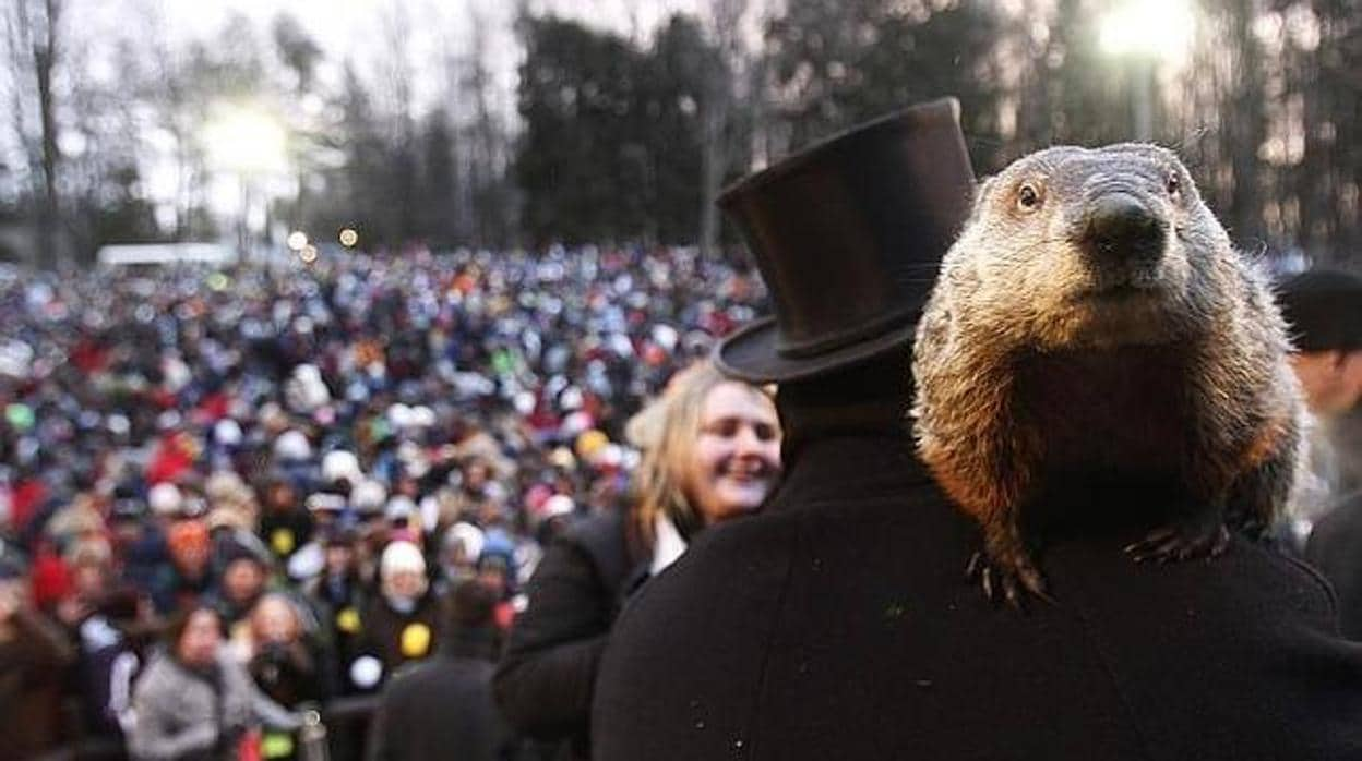 Día de la marmota 2019 ¿Cuándo y dónde se celebra?