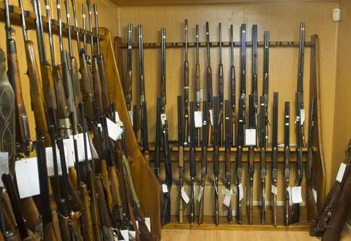 El nuevo reglamento de armas solivianta a cazadores y armeros