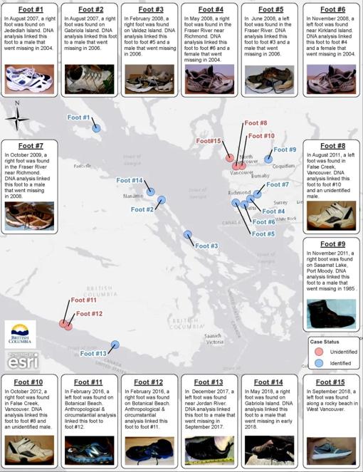 Gráfico elaborado por las autoridades locales con los 15 pies encontrados