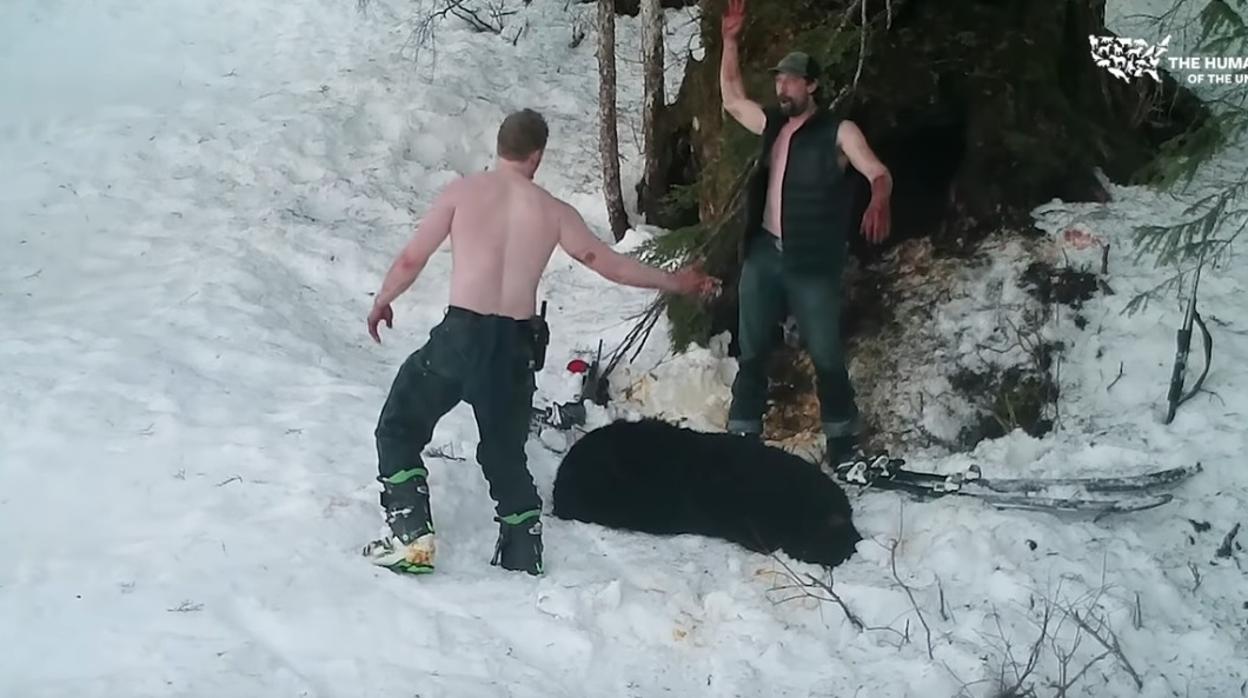 Dos hombres celebran la caza de una familia de osos en Alaska