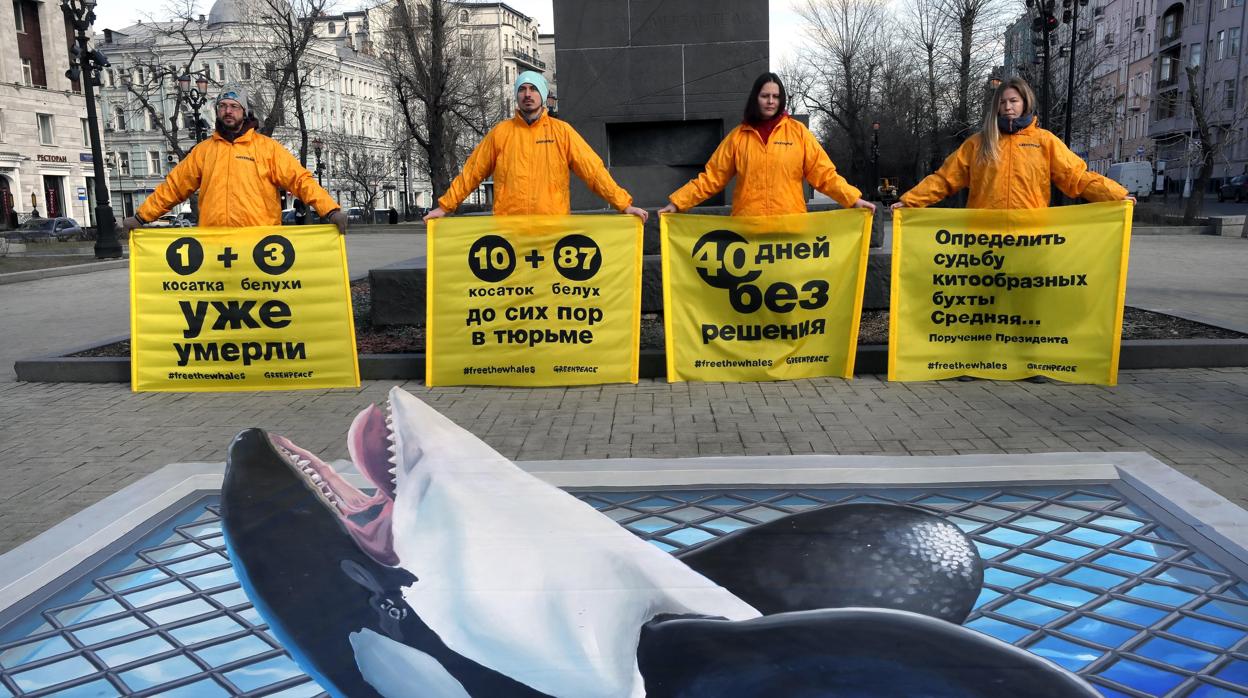 Activistas de la organización ecologista Greenpeace participan en una protesta para pedir la liberación de casi un centenar de orcas y belugas