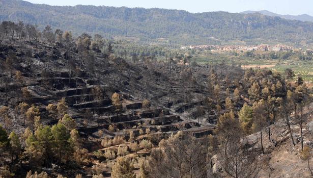 Los bomberos dan por estabilizado el incendio de Tarragona