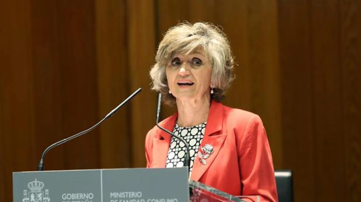 La ministra de Sanidad, María Luis Carcedo