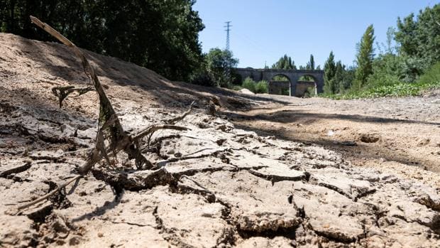 La sequía «estructural» provoca en España cortes en el suministro, abastecimiento con camiones cisterna y pérdidas para la agricultura