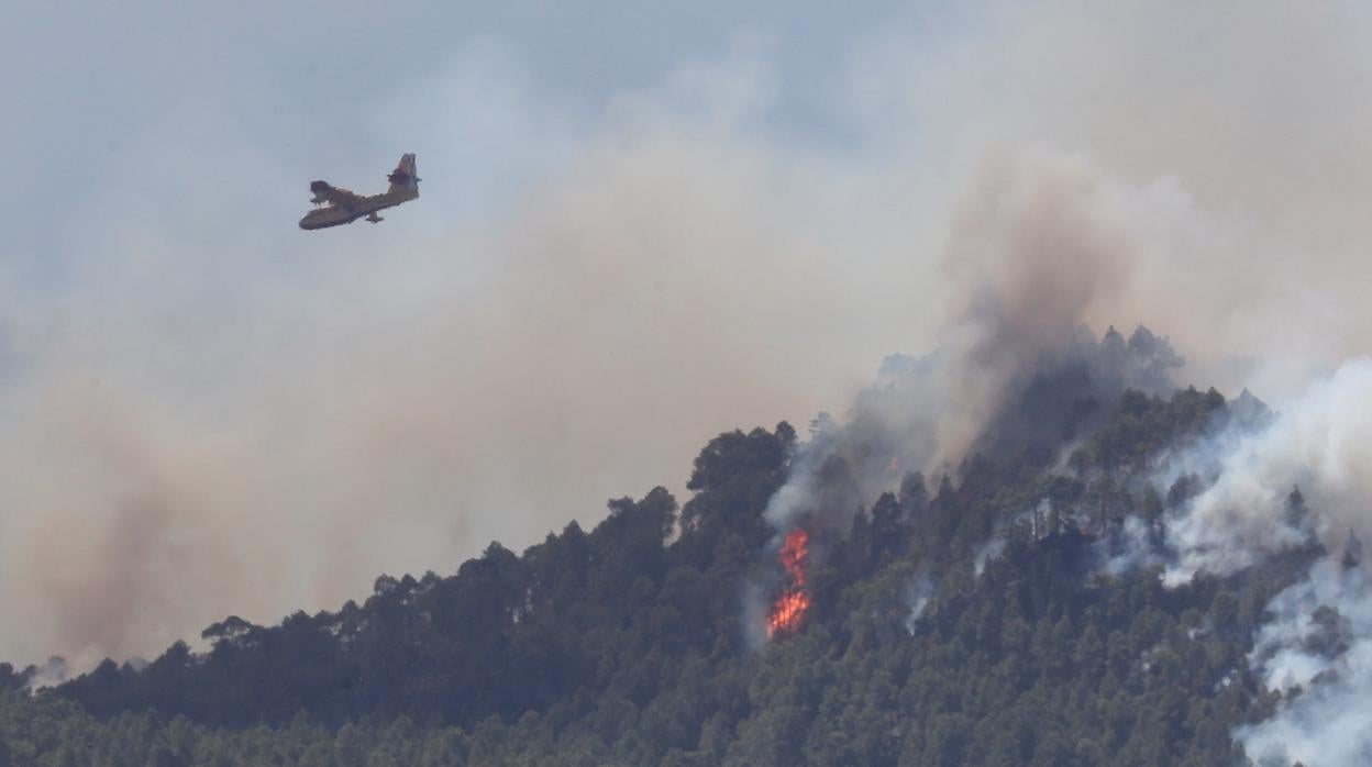 Un hidroavión pasa este martes sobre el foco del pinar de Tamadaba del incendio de Gran Canaria