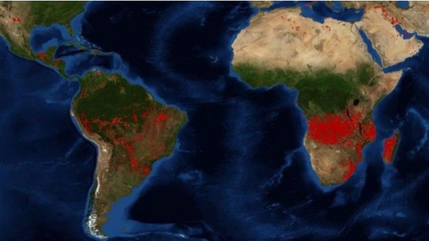 Recuperar los suelos erosionados del Amazonas y de África es más difícil que en Europa