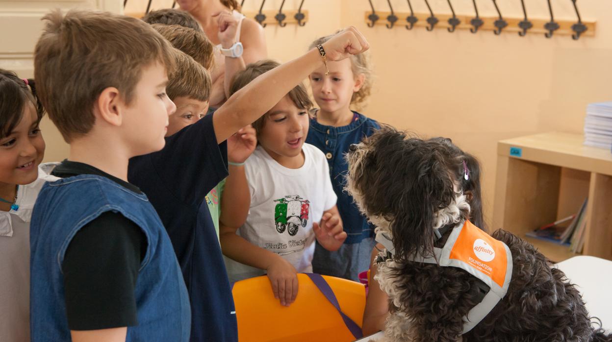 Perros de terapia de Fundación Affinity en el colegio Lleó XIII de Barcelona