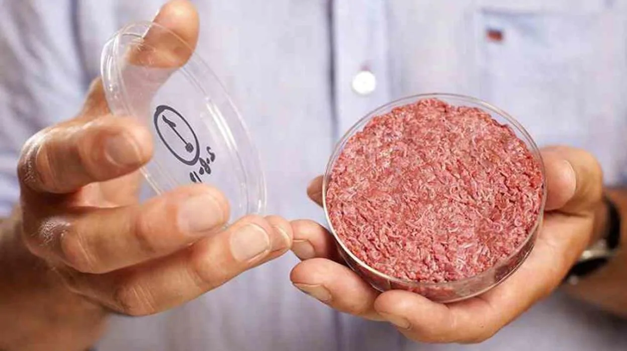 Carne recién salida del laboratorio y fabricada con cultivos celulares