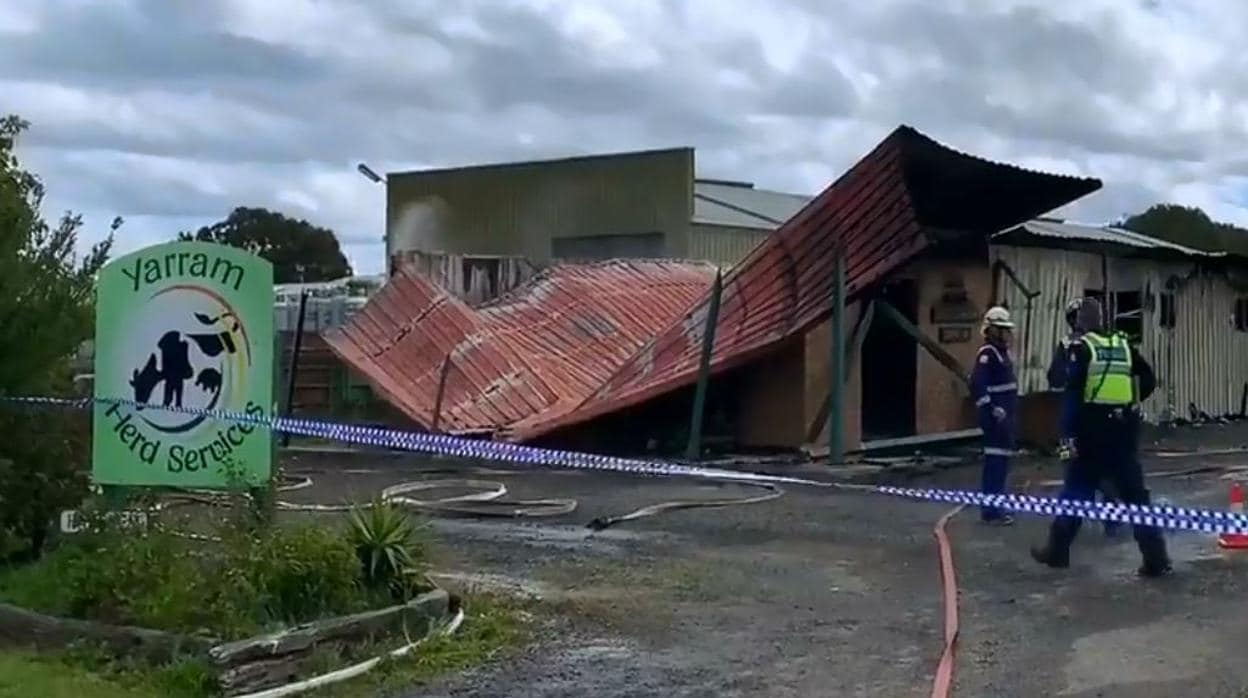 La explosión de un laboratorio provoca una lluvia de semen de ganado