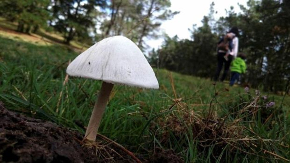 El otoño arrancará este lunes con tiemposeco en gran parte del país