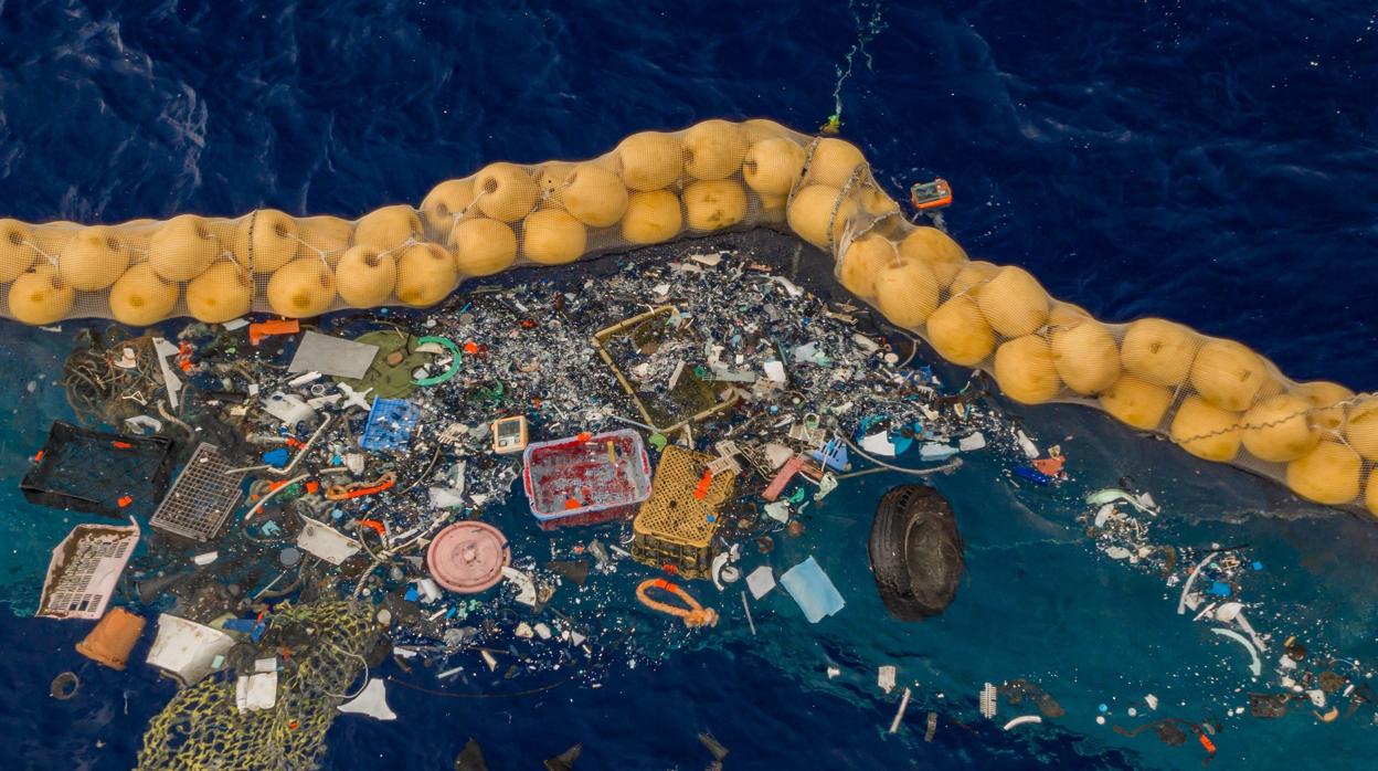 El escolar que supo cómo eliminar el plástico del mar