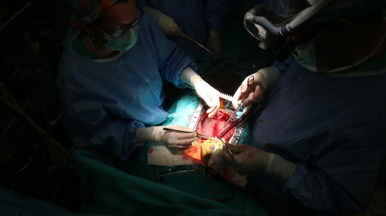 Cirugía de trasplante cardiaco