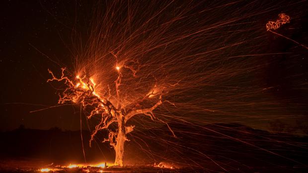 Vientos huracanados complican todavía más los incendios en California