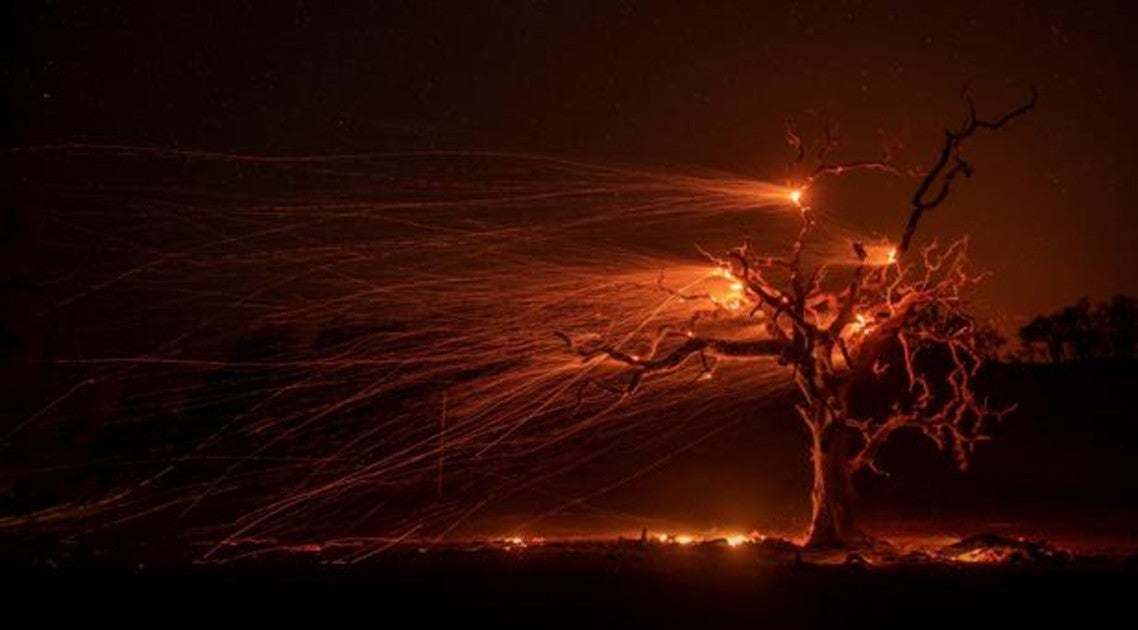 Una imagen de exposición múltiple muestra un árbol durante su combustión este martes en Windsor, ocasionada por los incendios que arrasan California desde hace días y que obligaron a las autoridades a activar el estado de emergencia el pasado domingo.