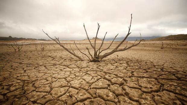 La sequía en el Sur de África como aviso al resto del mundo