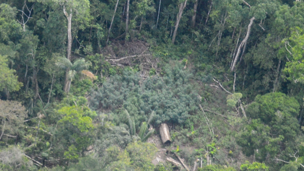 Las impactantes imágenes de indígenas no contactados en la Amazonía peruana