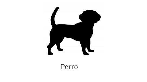 Predicción del perro del horóscopo chino 2020