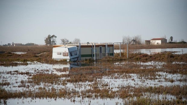 La tormenta Gloria engulle el delta del Ebro y acelera su colapso