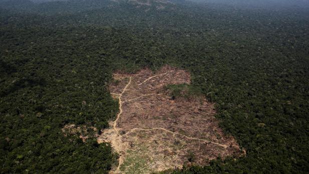 Bolsonaro presenta su proyecto de exploración económica en tierras indígenas