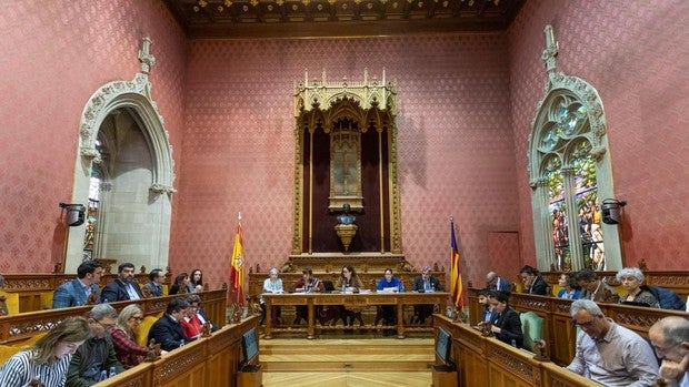 PSOE y MÉS rechazan en Mallorca una moción en recuerdo de las víctimas del Holocausto porque la había presentado Vox