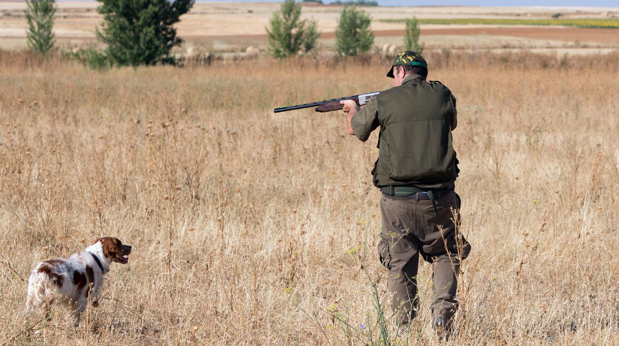 Un cazador de Zamora sale al campo el día de apertura de la media veda