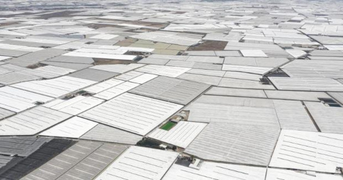 Invernaderos en El Ejido vistos desde el aire