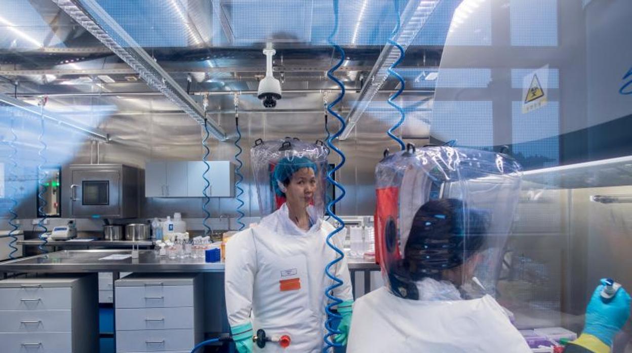 En el laboratorioa P4 de Wuhan se encuentra el mayor banco de virus de Asia, con 1.500 cepas