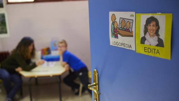 «Quieren cerrar los centros de educación especial por pura ideología, están haciendo experimentos con nuestros hijos»