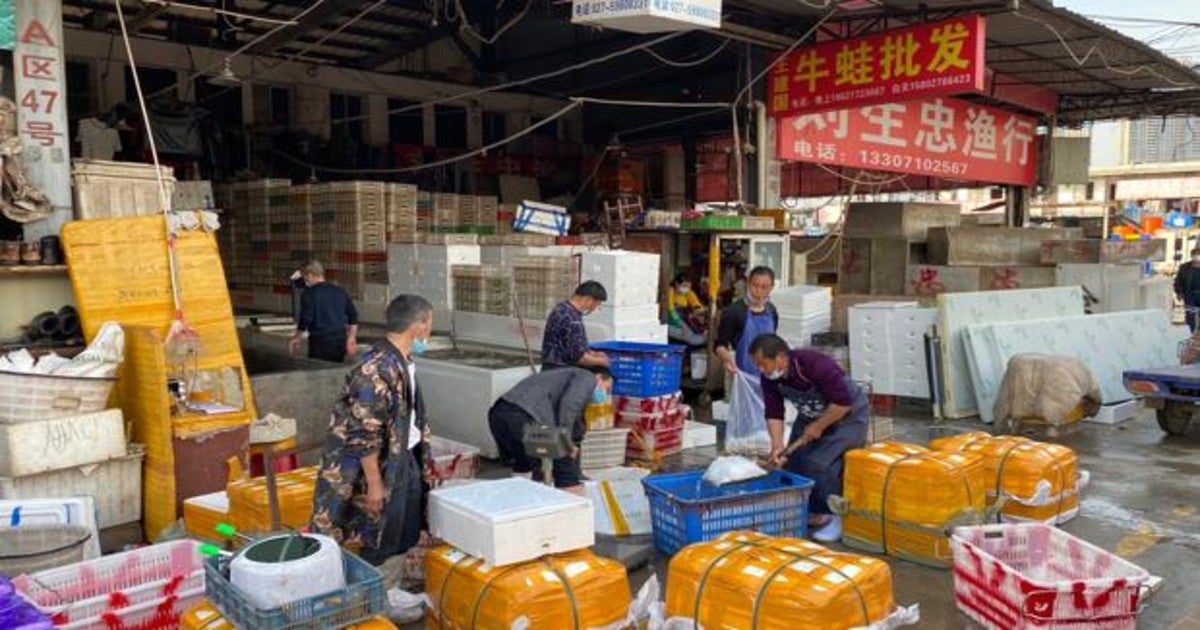 Con 3.600 puestos, el mercado de Baishazhou es el mayor de Wuhan y ya ha reabierto tras la epidemia del coronavirus