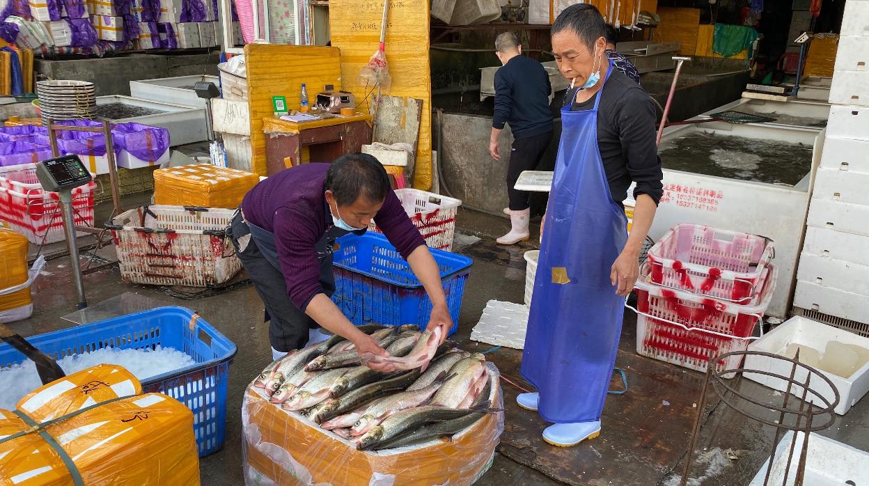 Puestos del mercado de Baishazhou, el mayor de Wuhan, reabierto tras el confinamiento.