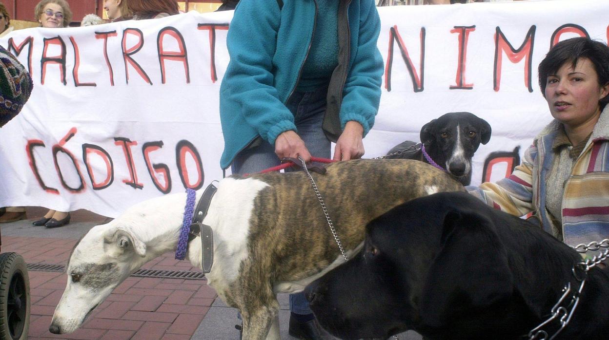 Protesta contra el maltrato animal en una imagen de archivo