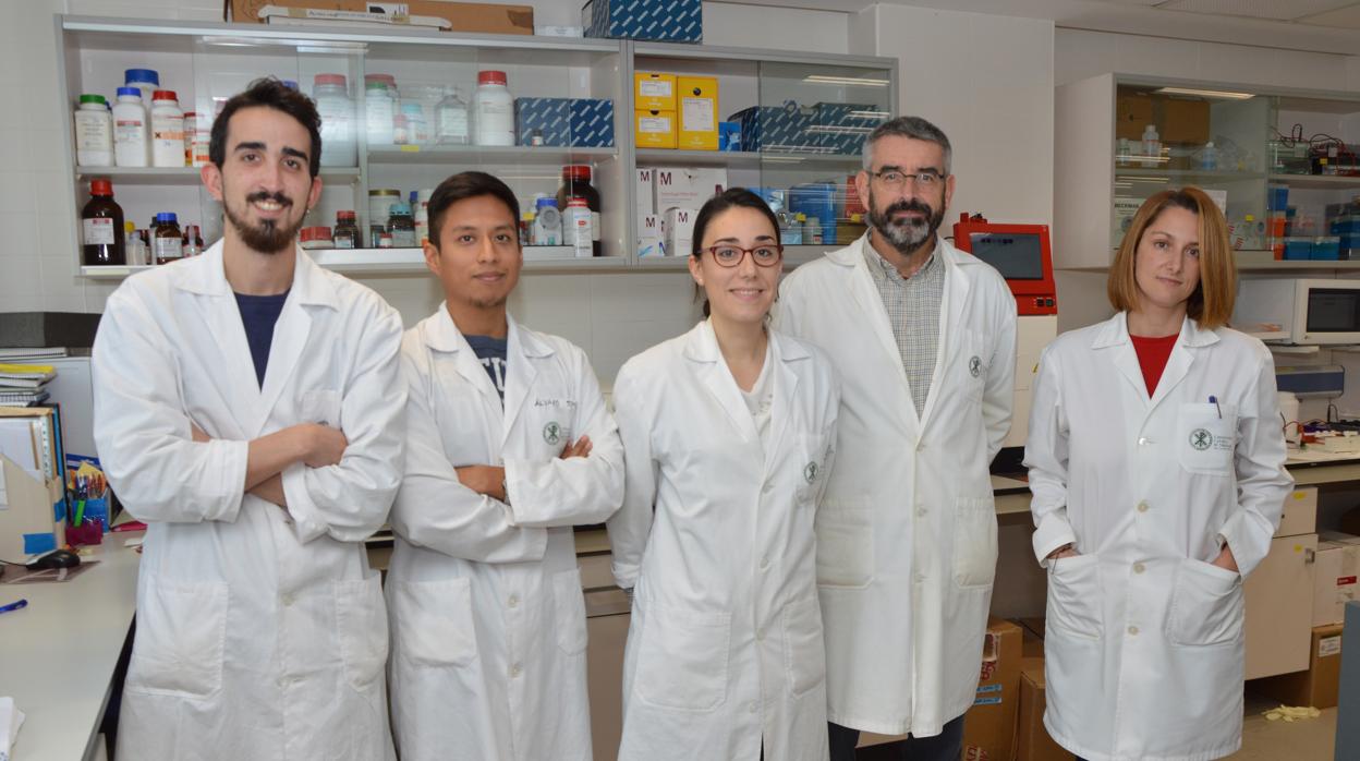 Equipo de la Fundación Universidad Católica de Valencia San Vicente Mártir