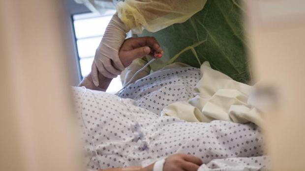 Francia se replantea el uso de hidroxicloroquina contra el Covid-19 tras el estudio sobre su ineficacia