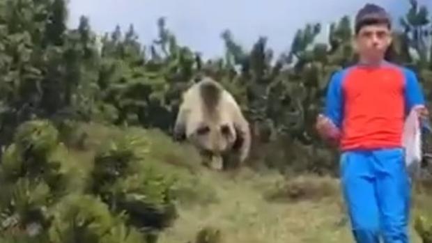 Increíble aventura de un niño italiano de 12 años: encuentra un oso y no pierde la calma