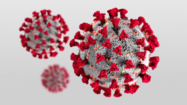 El niño indio que no «predijo» el coronavirus