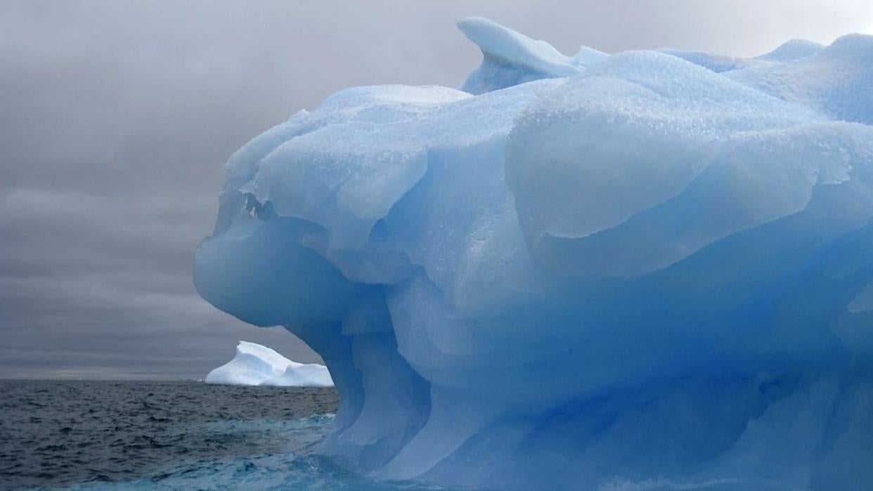 Un gran iceberg azulen el Mar de Weddell.