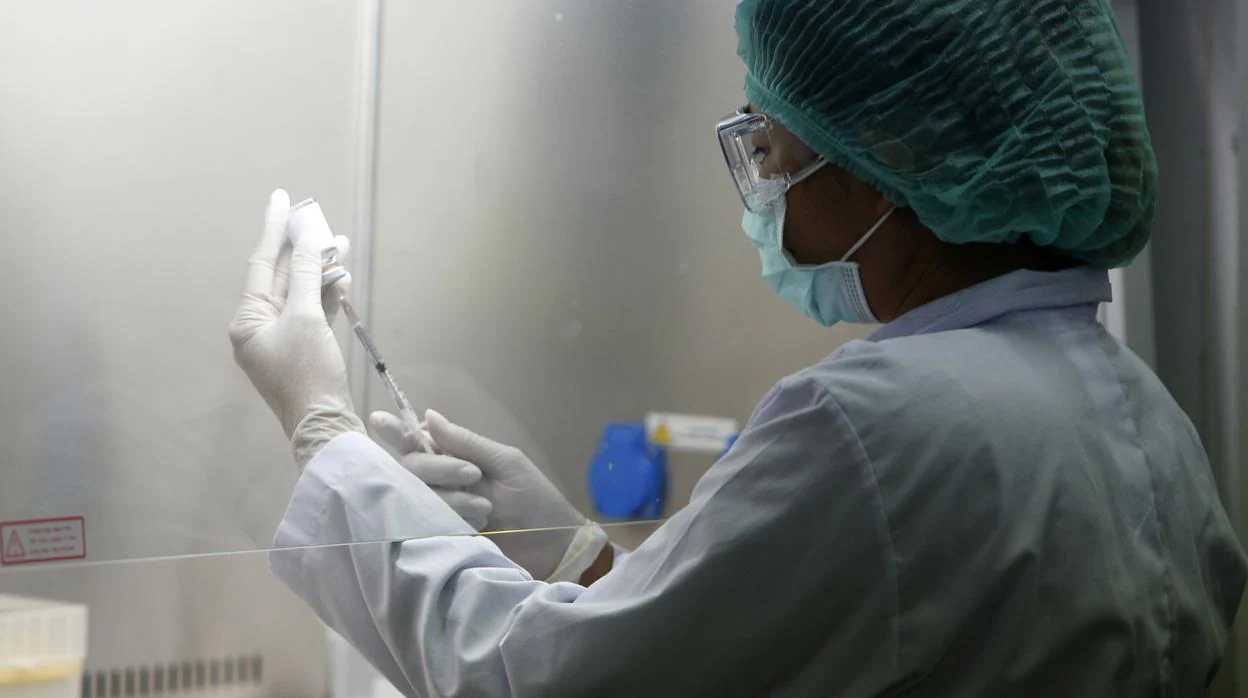 Coronavirus España directo: Sanidad notifica 191 nuevos casos y ocho fallecidos más que ayer