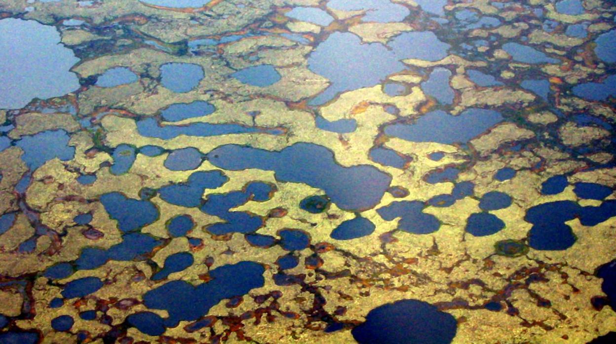 Imagen de archivo de charcos de agua en la tundra en la Siberia occidental de Rusia