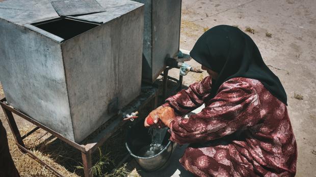 A finales de año, el hambre provocada por la epidemia podría causar 12.000 muertes al día, más que la propia enfermedad