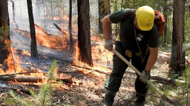 La prolongada ola de calor en Siberia sería imposible sin el cambio climático