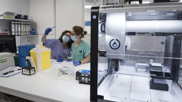 Diecisiete hospitales contarán en otoño con robots para hacer 1,2 millones de PCR al mes