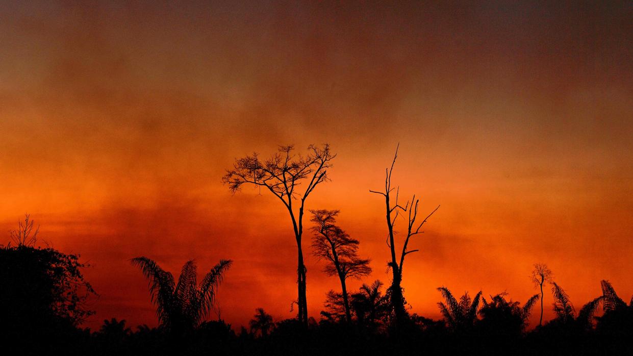 El humo se eleva desde un área de tierra quemada en el Parque Indígena Xingu, estado de Mato Grosso, Brasil, en la cuenca del Amazonas, el 6 de agosto de 2020.