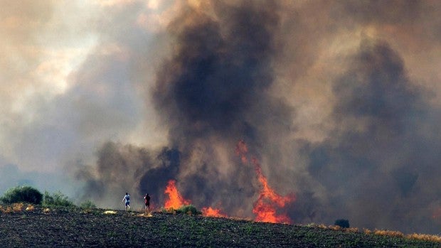 Los servicios de emergencias luchan contra los incendios declarados en Andalucía y Castilla y León