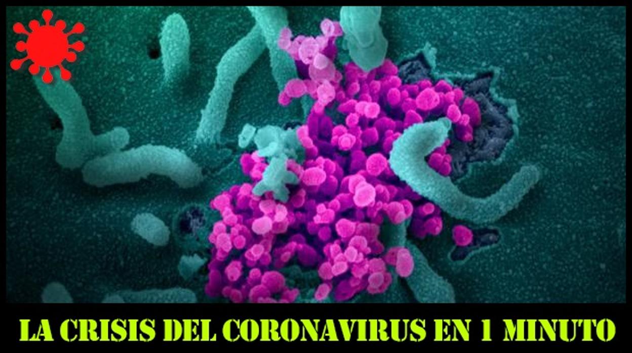 Las ocho noticias de este miércoles sobre el coronavirus