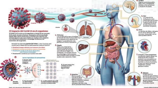 Los pacientes hospitalizados por Covid también sufren anorexia