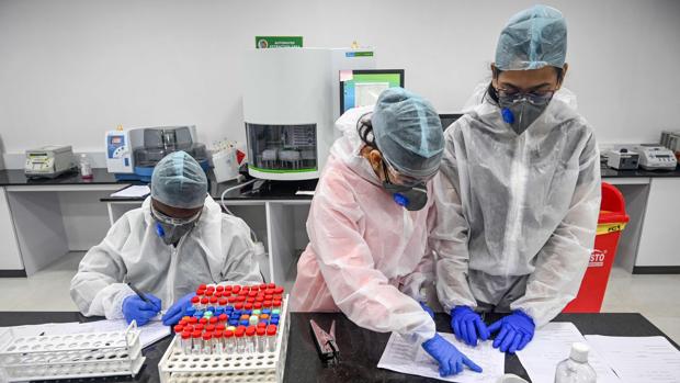 Los estudios muestran que menos del 10 % de la humanidad tiene anticuerpos, según la OMS