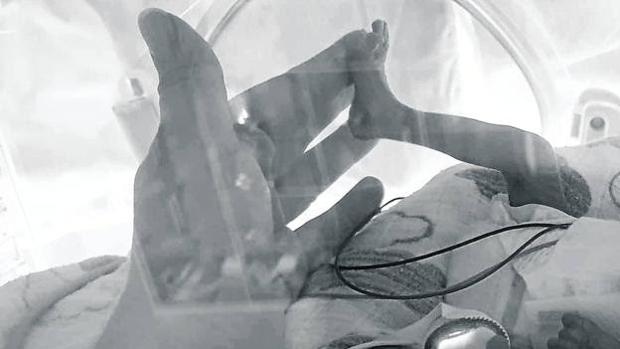 Últimas noticias de sociedad hoy domingo, 27 de septiembre del 2020