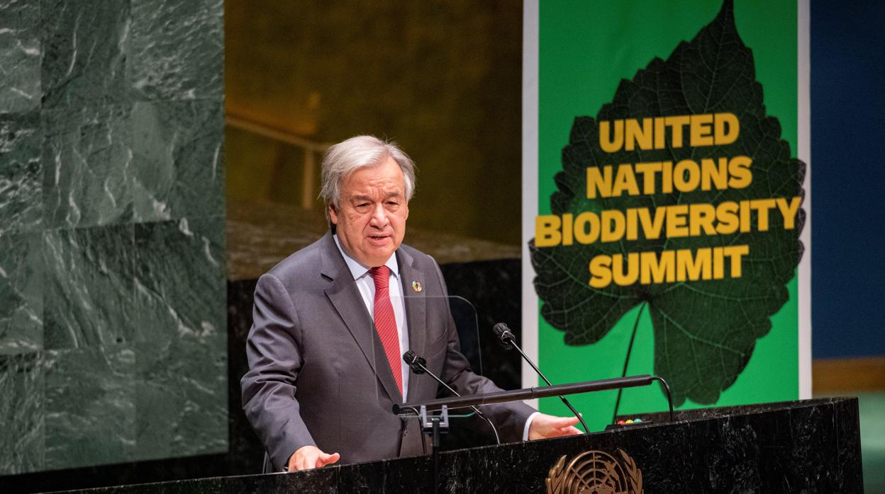 El secretario general de la ONU, António Guterres